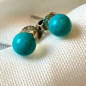 Turquoise Ear post